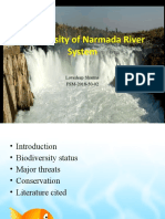 Narmada River System