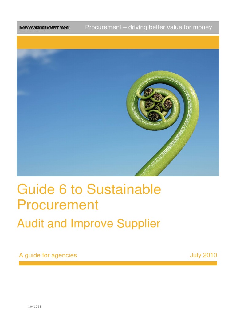 6 Guide Audit and Improve Supplier Sustainable Procurement | PDF ...