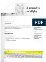DIAS, Reinaldo. A Perspectiva Sociológica. P. 3-17