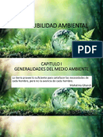 CAP I Generalidades Del Medio Ambiente
