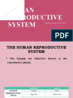 Human Reproductive System: Prepared By: Ms. Fatima Grace D. Fabillar