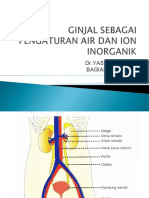 Fisiologi Ginjal