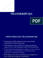 Transkripcija