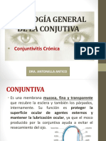 15. Conjuntivitis Crónica - Corregido