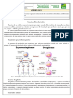 9o CIE Atividade 1 Hereditariedade 15