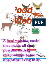 Food Web2