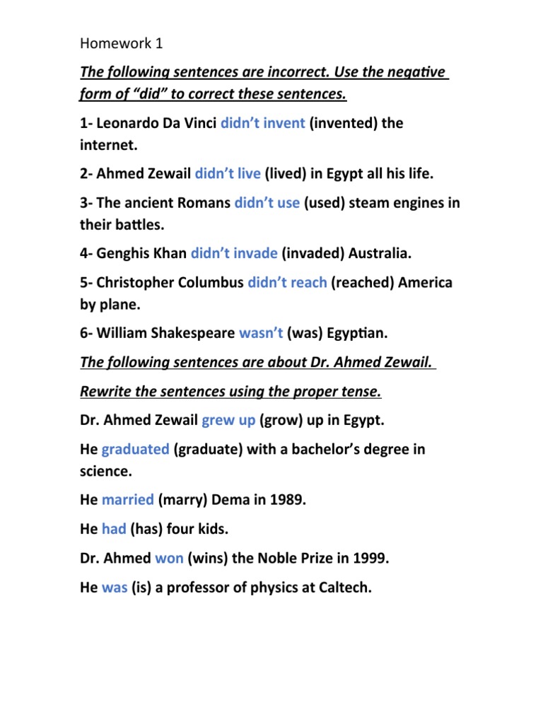 Didn't Invent: The Following Sentences Are Incorrect. Use The Negative ...