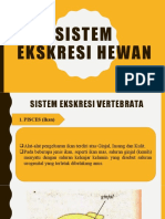 PPT Sistem Ekskresi Hewan