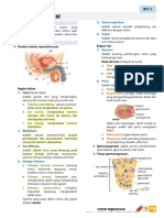 Sistem Reproduksi: A. Pendahuluan