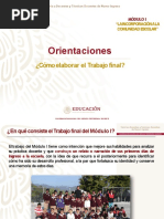 Modulo 1 Orientaciones - Trabajo Final - Módulo I - UV