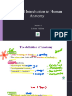 General Introduction To Human Anatomy: Reham Filfilan