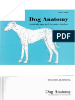 Dog - Anatomy.goody 11