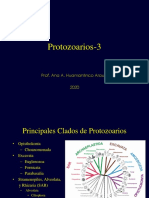 3protozoarios 3