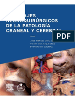 Abordajes Neuroquirúrgicos de La Patología Craneal y Cerebral + Acceso Web - José Manuel González Darder, Vicent Quilis Quesada, Evandro de Oliveira (2015)