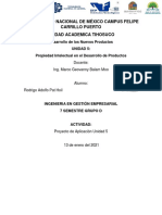 #11 - Rodrigo - U5 - DNP - Plan de Negocios