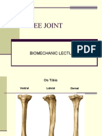 Knee Joint Kuliah