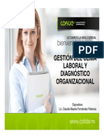 Gestion - Del - Clima - Laboral - y Diagnostico - Organizacional