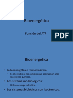 Bioenergética