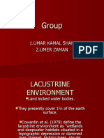 Lacustrine Environment