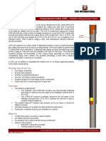 TAM Inflatable Casing Annulus Packer (Product Sheet)