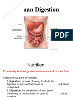 The Digestive System PACE