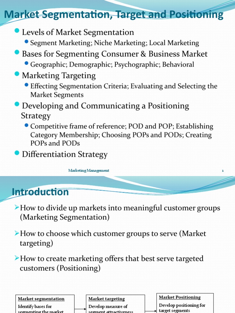 CH4 Marketing Segmentation Targeting Positioning | PDF | Market ...
