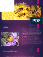 Creșterea albinelor