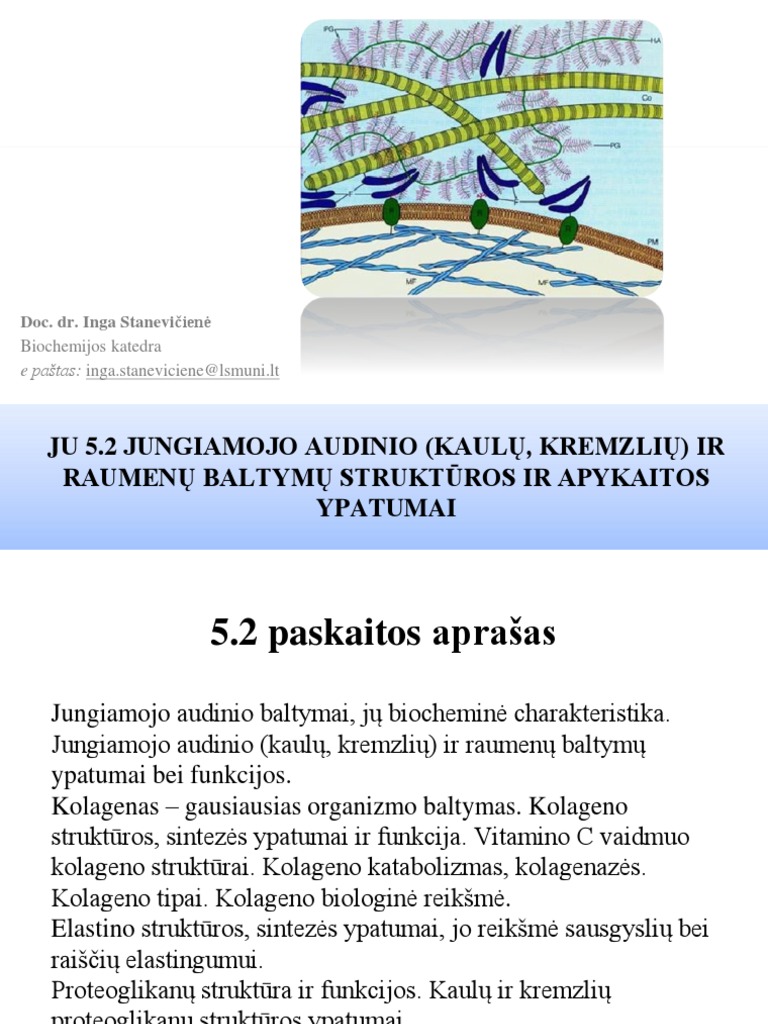 Ju - 5.2 Paskaita - Biochemija - 2020 | PDF