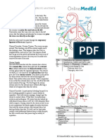 Gynecology - Pelvic Anatomy