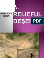 Relief Desertic