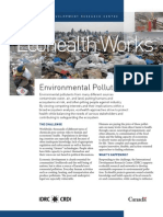 Ecohealth Works: Environmental Pollution
