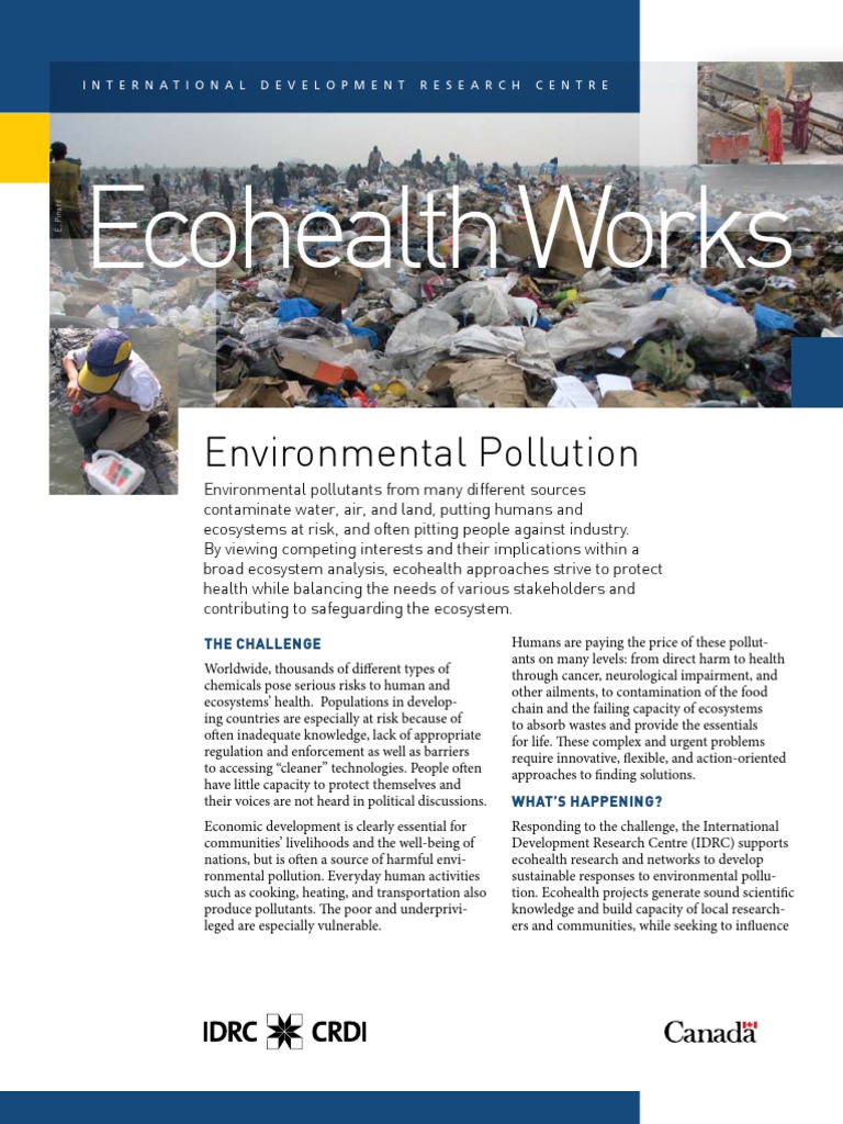 Ecohealth Works: Environmental Pollution | PDF | Pollution | Sustainability