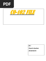 PDF Document