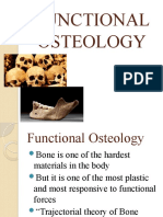 Functional Osteology Dela Cruz