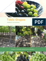 Grapes Product Catalogue - Compressed