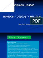 Oidios - Mildiu - Fitopalogía