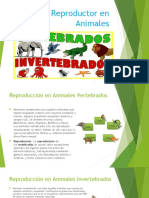 Sistema Reproductor en Animales