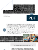 Practica Pedagogica 2