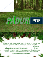 0_padurea