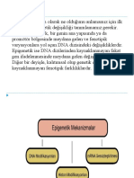 Epigetiğe Giriş Ve MiRNA'Lar