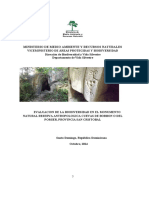 Informe Cuevas Del Pomier 2013