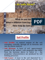 Soil Formation Profiles 1