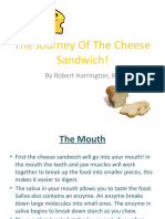 The Journey of a Cheese Sandwich