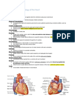 Tara's Anatomy and Physiology - Aehlert ECGs Made Easy