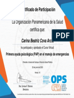 Primera Ayuda Psicológica (PAP) en El Manejo de Emergencias-Certificado Del Curso 650460
