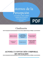 Trastornos de La Percepción