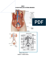 1._Anatomi_Fisiologi_System_Urinaria_