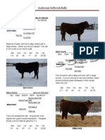 2011 Bull Sale Catalog