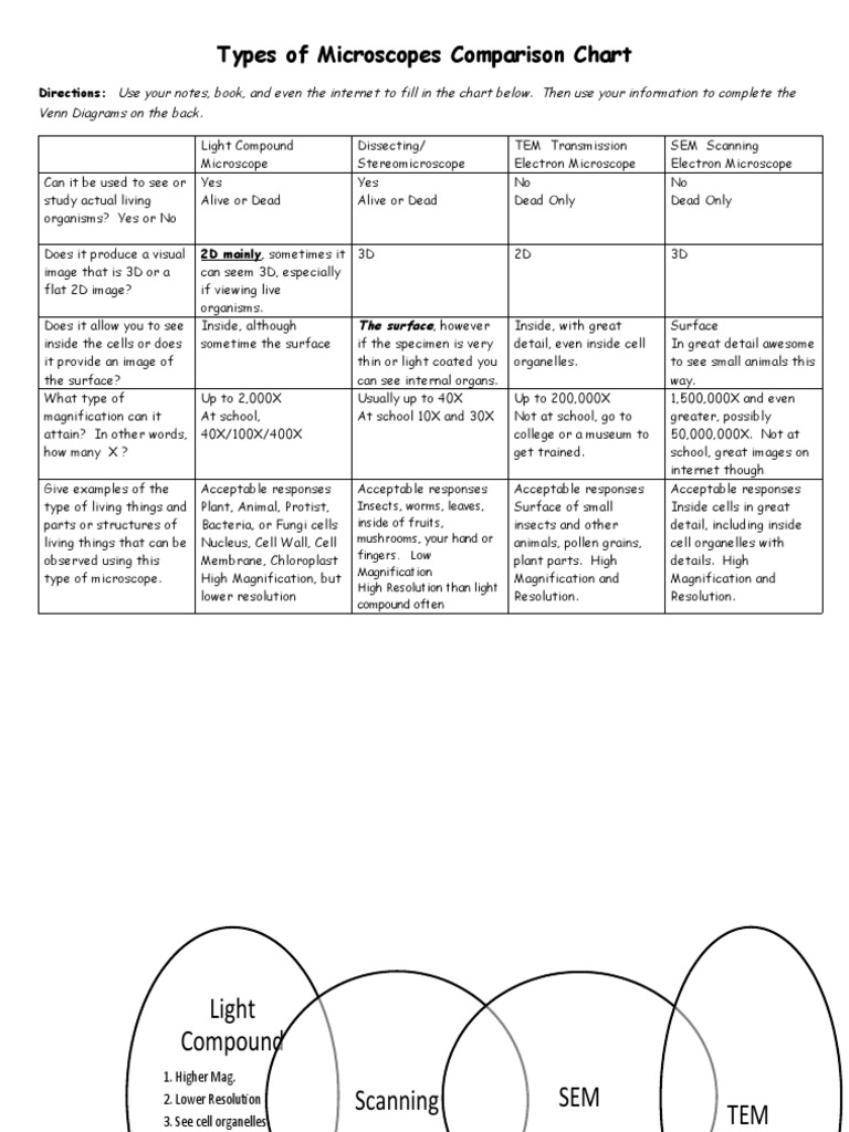 Types of Microscopes Comparison Chart 4 Linear Venn Edit Answer Key PDF Microscope