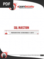 Lab12 - SQL - Injection